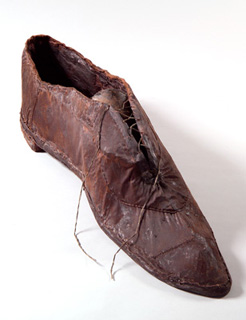 big brown shoe